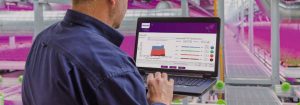 Philips GrowWise -ohjausjärjestelmä