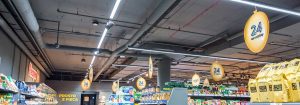 Maxos fusion – Kiskojen uusi standardi