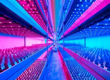 Useita satojaksoja vuodessa