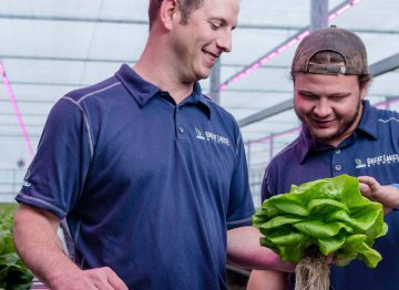 Kasvihuoneviljelyn johtopaikan ottaminen LED-valaistustekniikan avulla