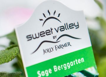 Kasvun parantaminen ja energiakulujen pienentäminen LED-kasvivaloilla