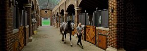 Bourne Hill Stables luo turvallisemman ympäristön UV-C-valaistuksella